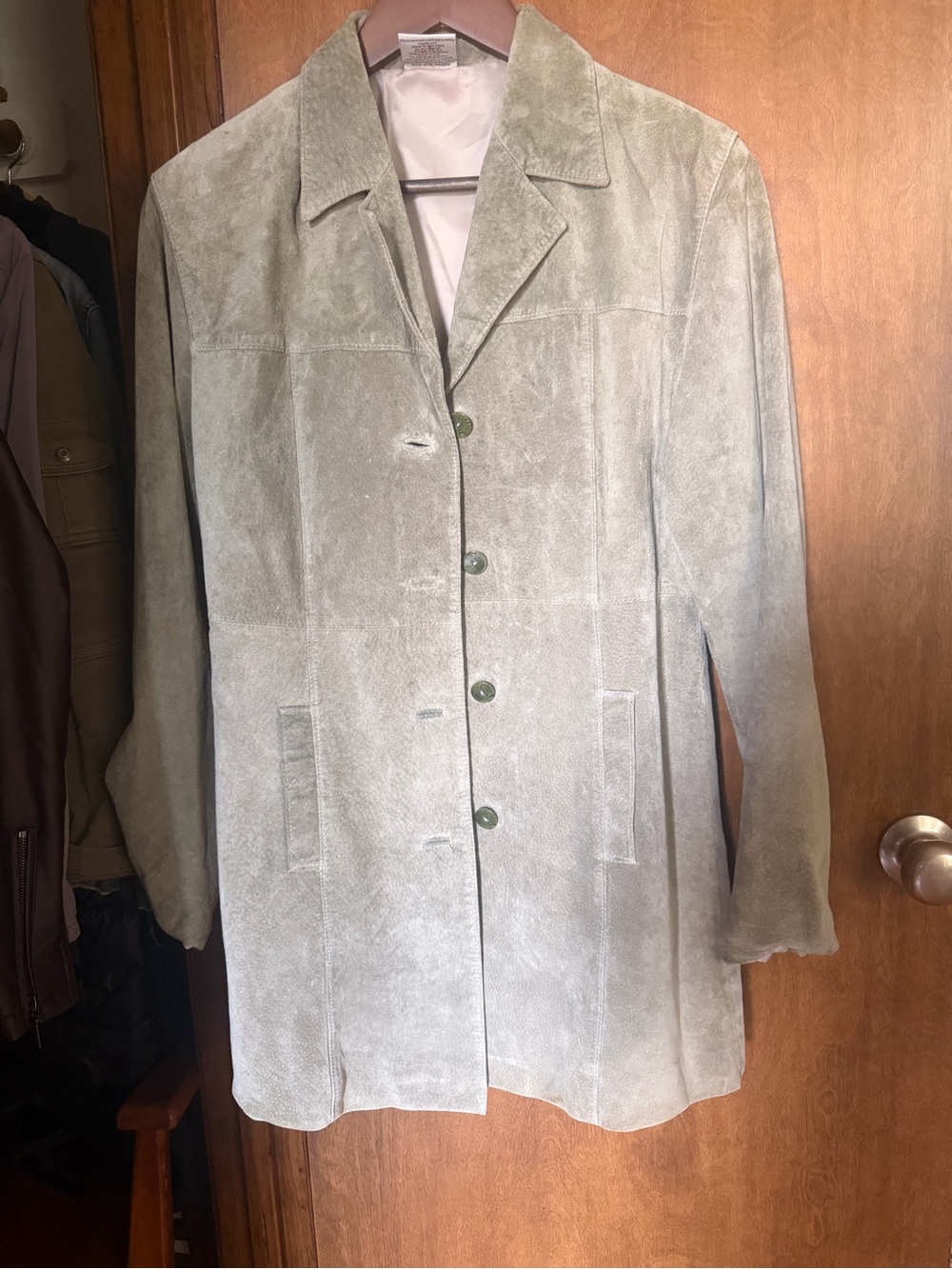 Soft Suede Button-Front Coat in Light Sage